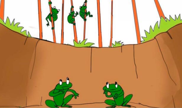 The story of two frogs