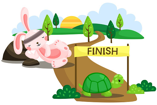 Rabbit and turtle race